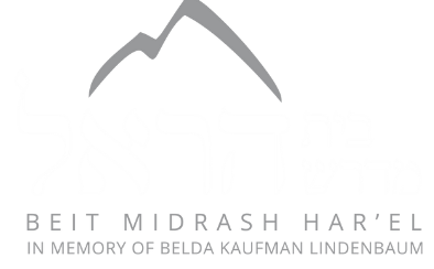 Beit Midrash Har'el Logo